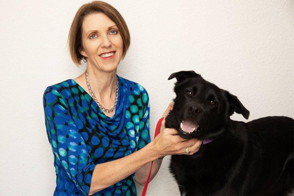 BLVNZ welcomes new chief executive