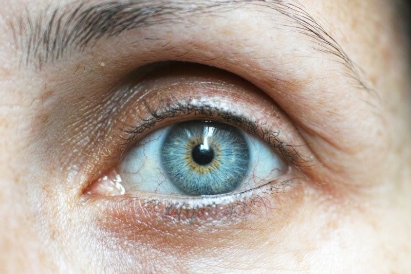 Summer of anterior segment and CLs