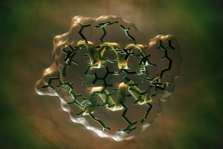 Progress for DED peptide treatment