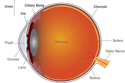 Different uveitis drugs, similar results