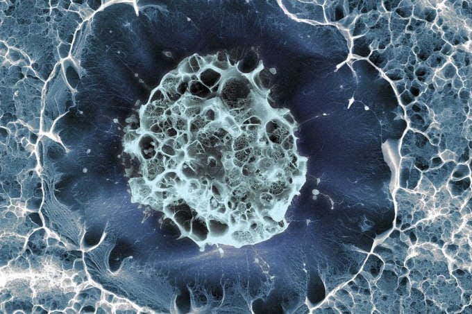 Eye lubrication with cadaver stem-cell-derived drops