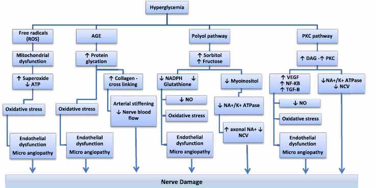 Diabetes, dry eye and ‘Substance P’?