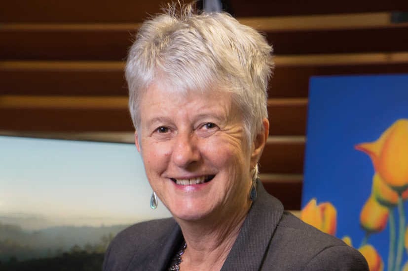 NZ health system overhaul recommended