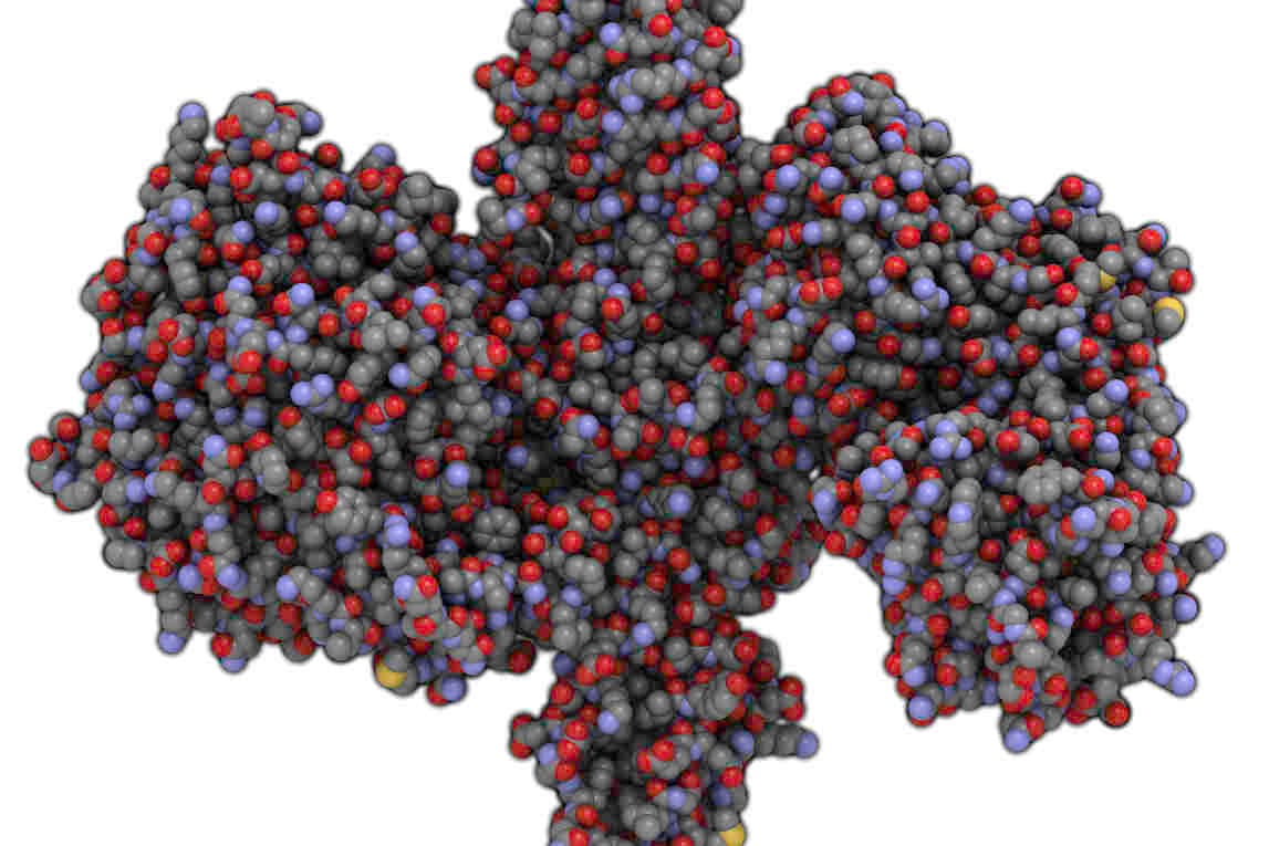 Botulinum toxin in oculoplastics