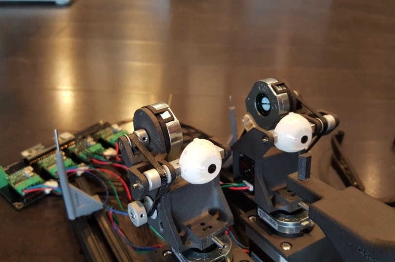 New synthetic eyeballs
