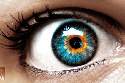 Retinal detachment filler?