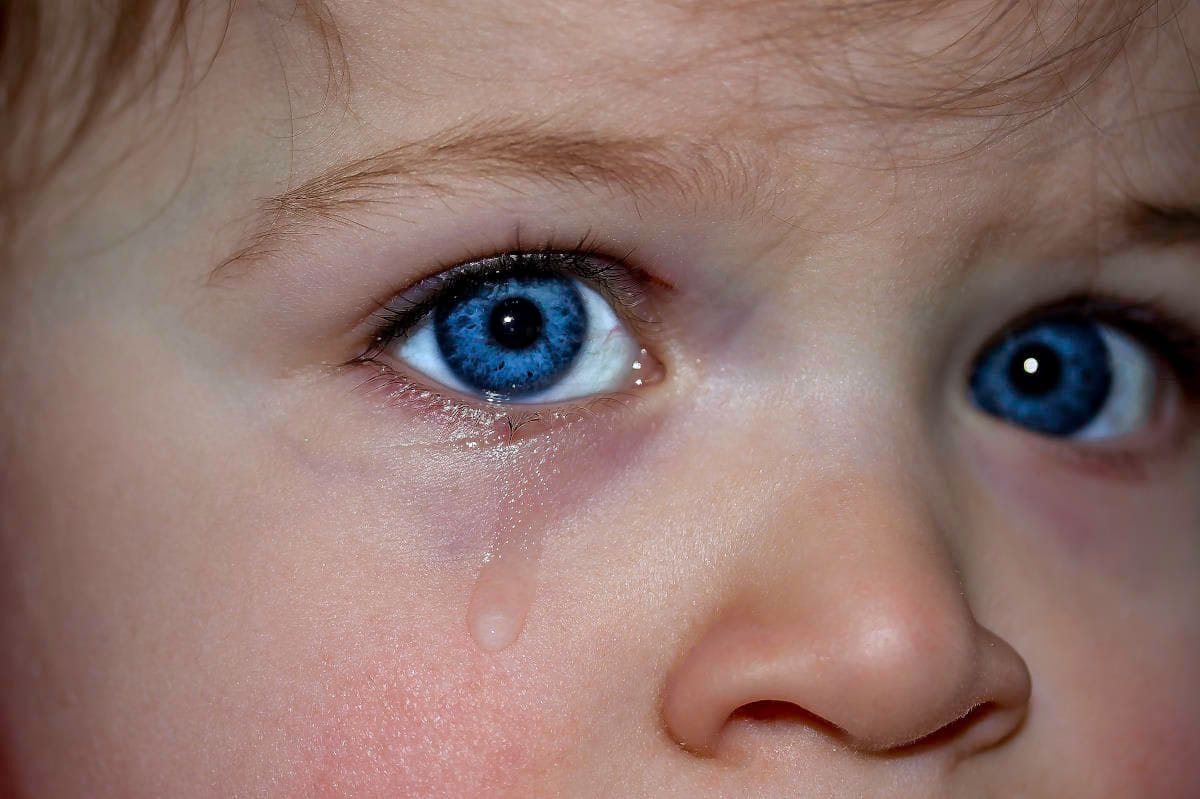 Glaucoma studies and doctors’ mental health research funded