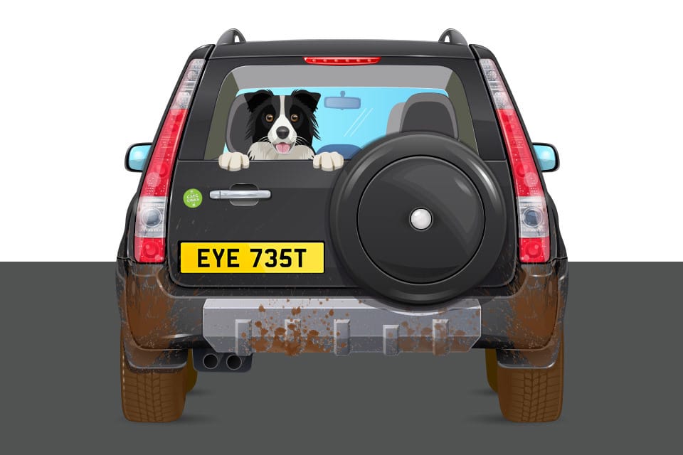 UK numberplate eye test