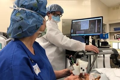 Handheld ophthalmoscope sees individual photoreceptors