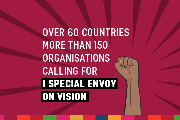 UN special envoy on vision