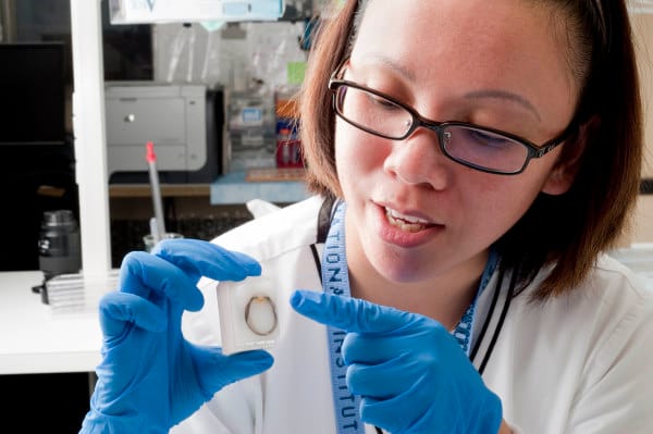 ARVO Foundation’s new uveitis fellowship