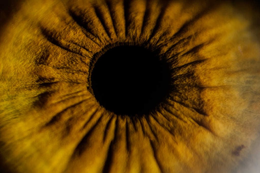 AI identifies ocular therapeutic targets
