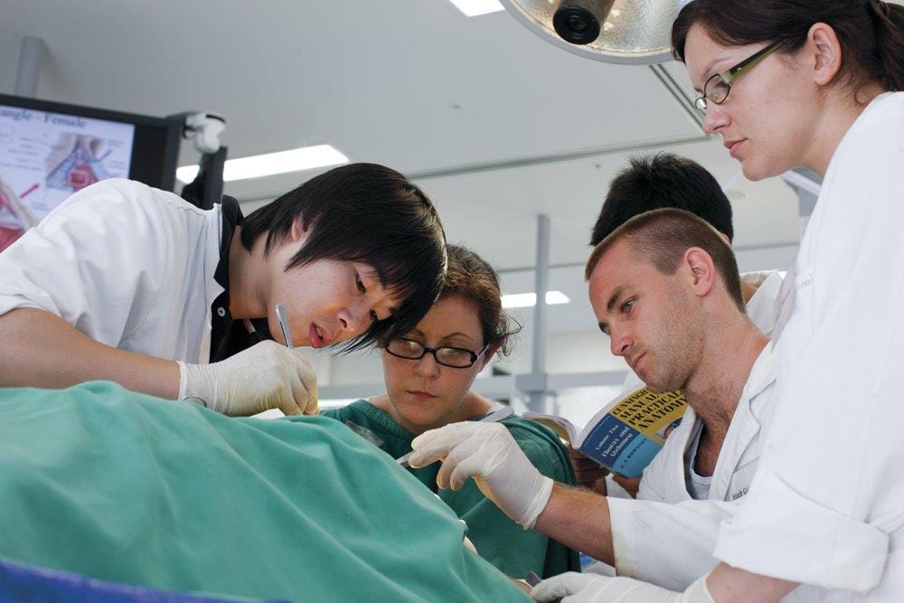 Gender impacts med students’ experience