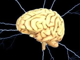 Brain drug delivery breakthrough
