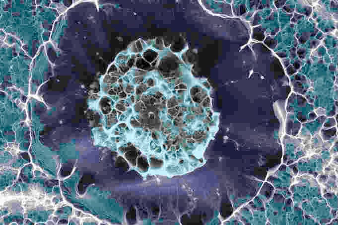 Stem cell info for patients