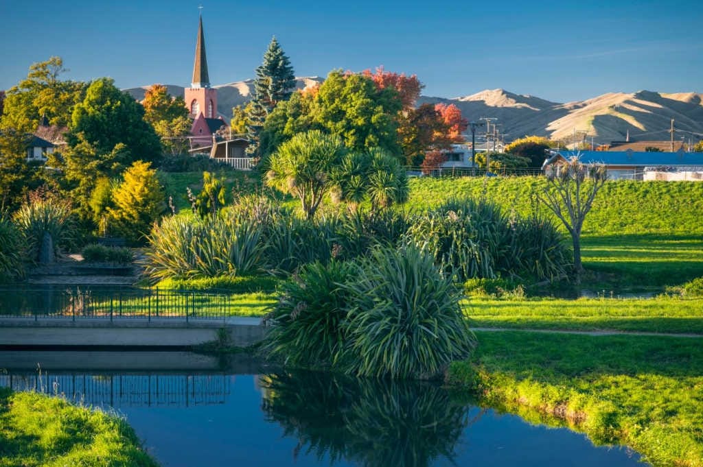 Save the date: RANZCO NZ 2022