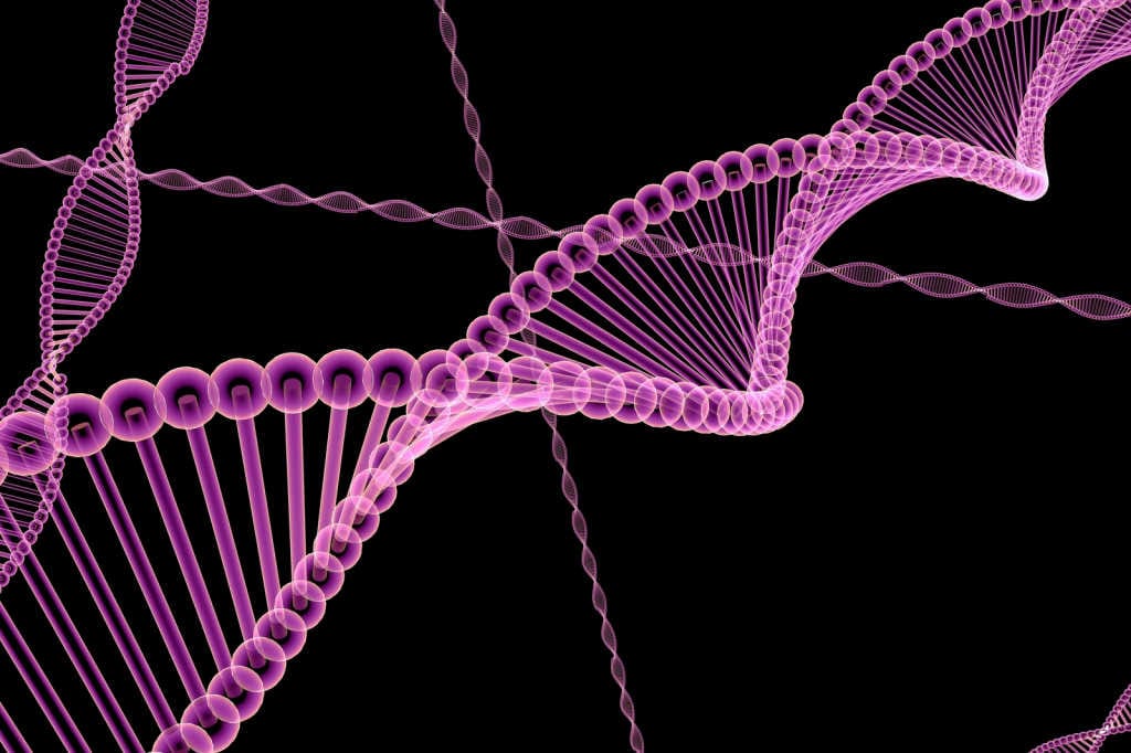 CERA researchers seek IRD patient views