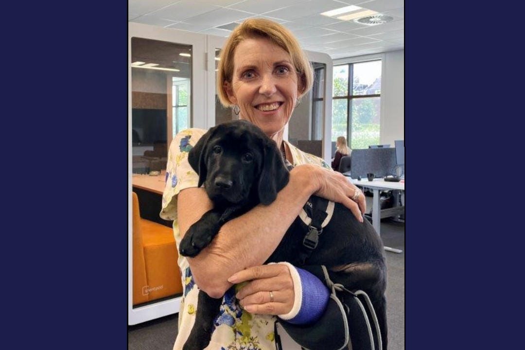 BLVNZ CEO leading with kindness and curiosity