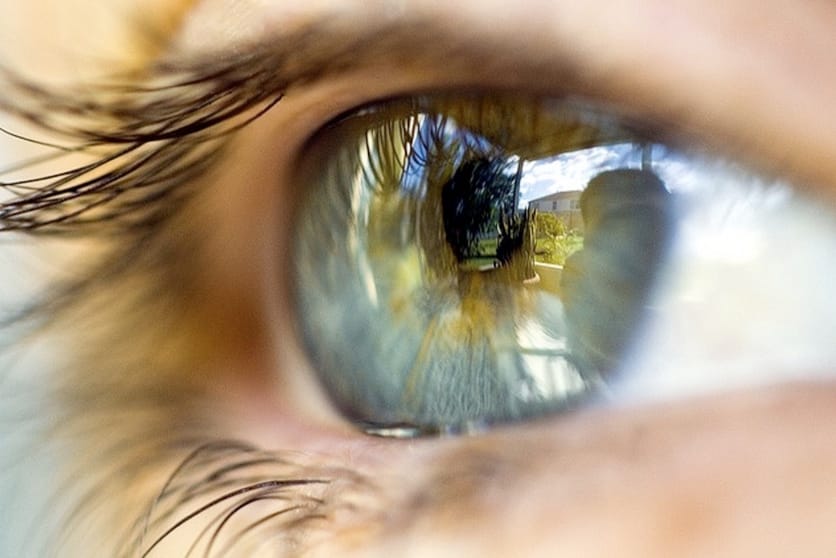 Sight - the most valued sense