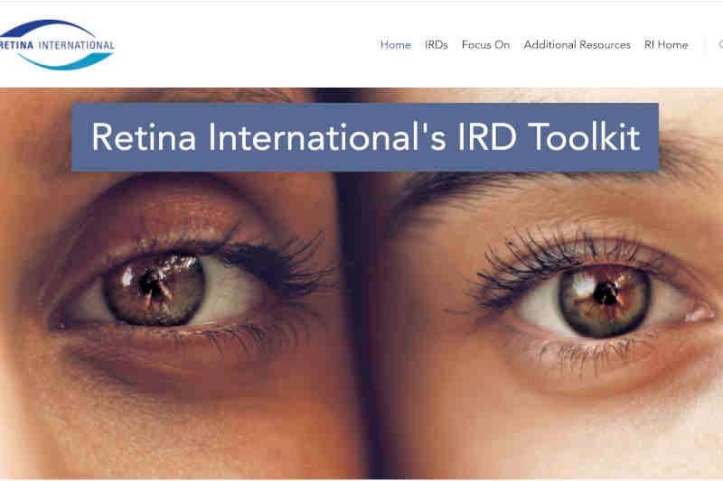 Retinal disease toolkit