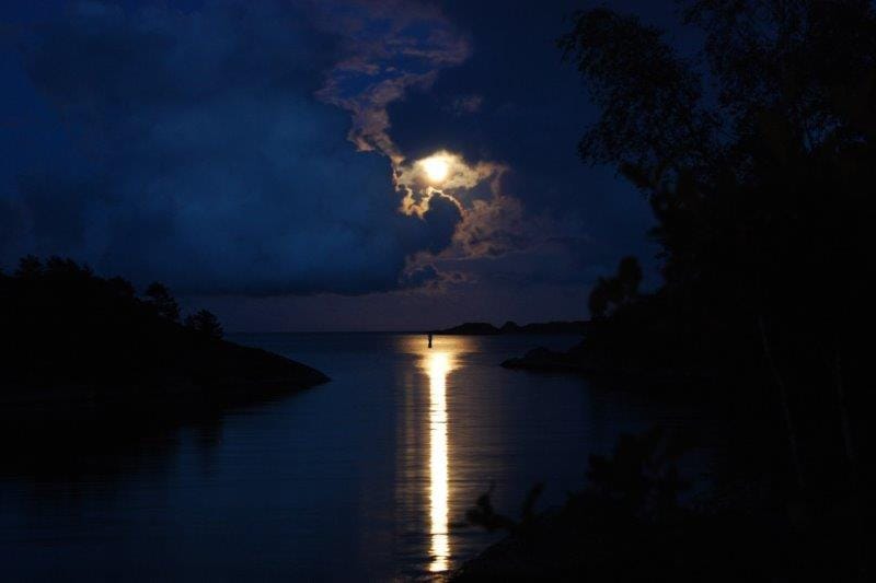 moonlight