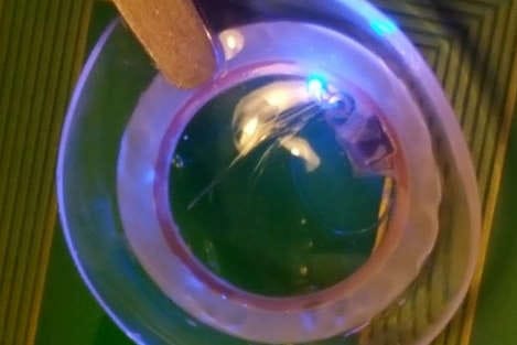 Hydrogel smart contacts