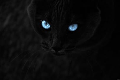 Blue eyes better in the dark