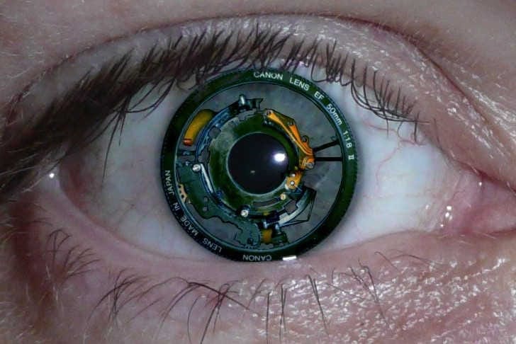 The eyes have IT