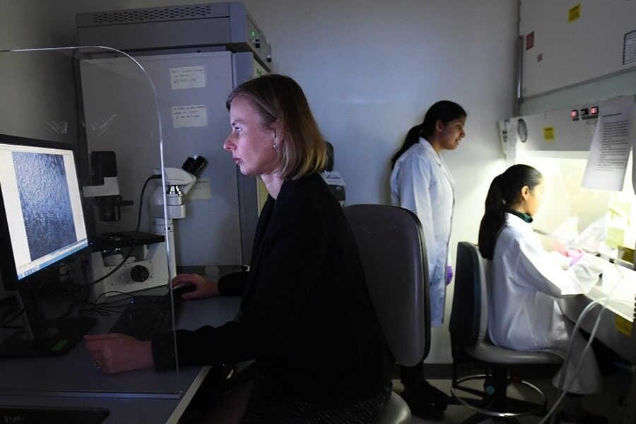 Corneal repair breakthrough