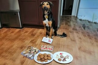 ‘Bake a difference’ for BLVNZ