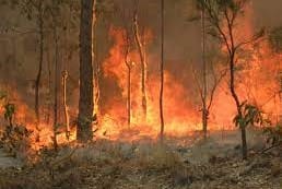 Doctors’ plea for climate change