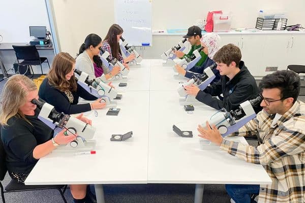 Record DO student enrolment