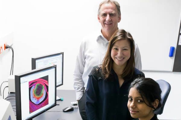 AMRF: Supporting eye research