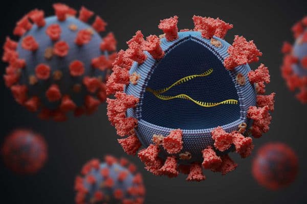Promising Stargardt therapy revealed (1)