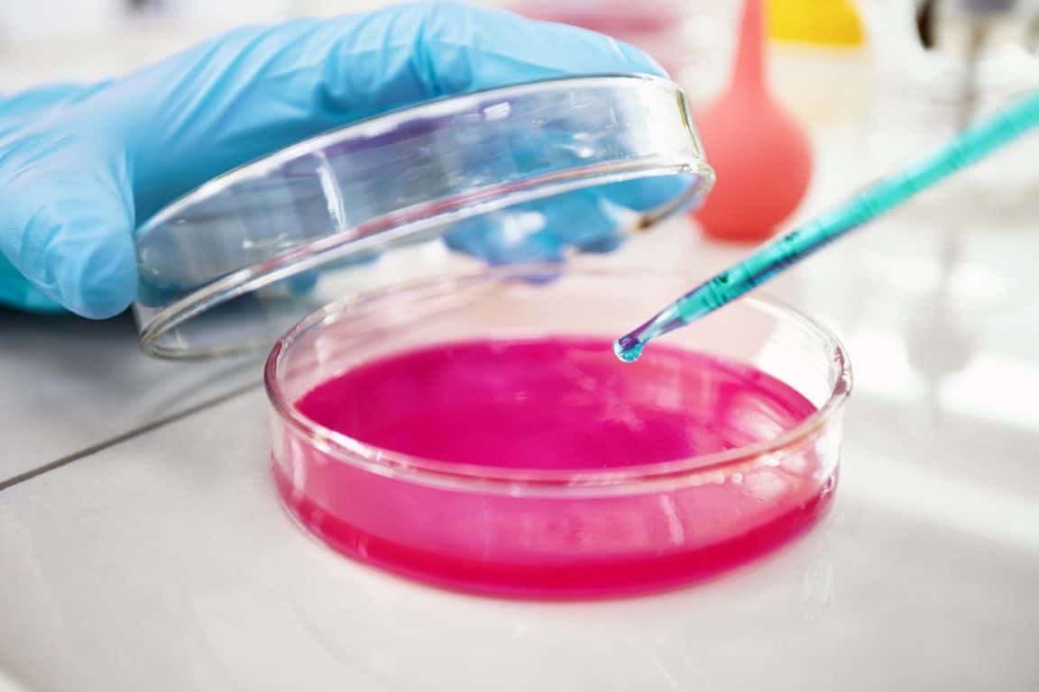 Tissue culture