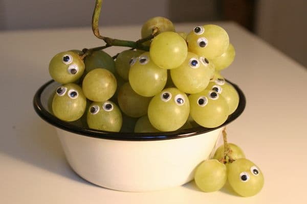 Surgical salad training for budding ophthalmologists (1)