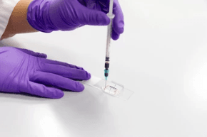 Retina-on-a-chip
