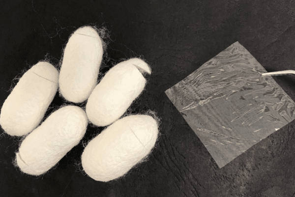 Silk to restore sight?