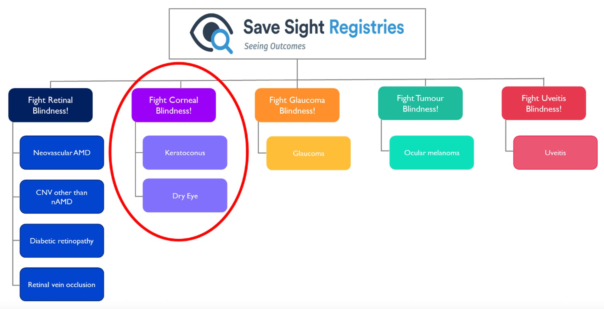 Fig 1 SS Registries Large