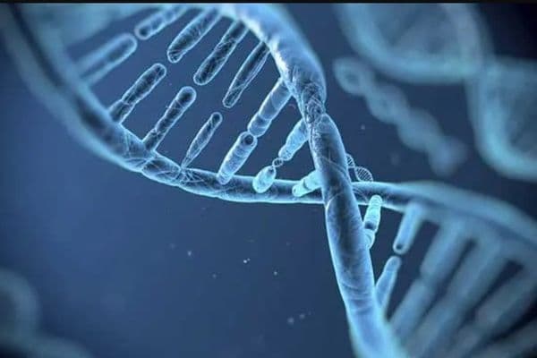 Myopia and AMD’s shared genetics