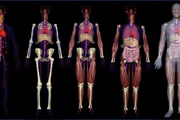 Digital twins predict healthcare outcomes