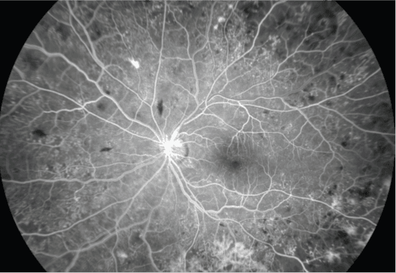 SPONSORED: Technology to empower – ZEISS CLARUS 700