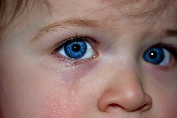 Glaucoma studies and doctors’ mental health research funded