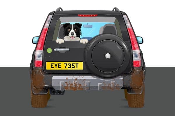UK numberplate eye test