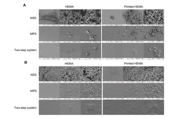 Study compares CL microbiology
