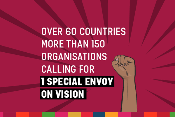 UN special envoy on vision