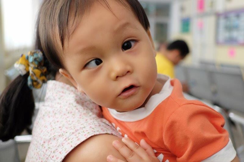 Strabismus research review November 2025