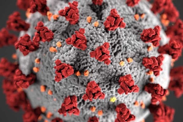 Coronavirus platform launched