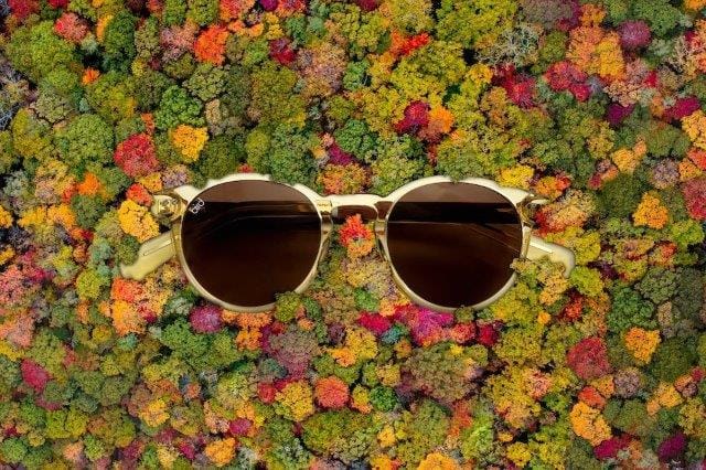 No animals were harmed in the making of this frame!