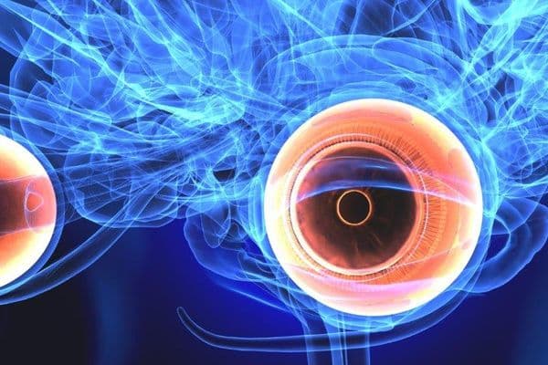Alzheimer’s drug lowers AMD risk?